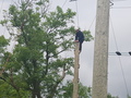20170627_113312.jpg
