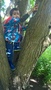 WP_20170609_14_25_47_Pro_LI.jpg