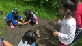 WP_20170609_14_06_03_Pro_LI.jpg