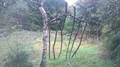 WP_20160930_024.jpg