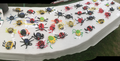 OceanUpload7440487322121052910_1469101166886_compressed.png