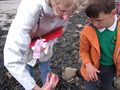 OceanUpload1929056749987566887_1465552474983_compressed.JPG