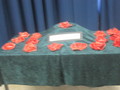 Poppies 010.JPG