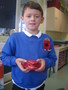 Poppies 023.JPG
