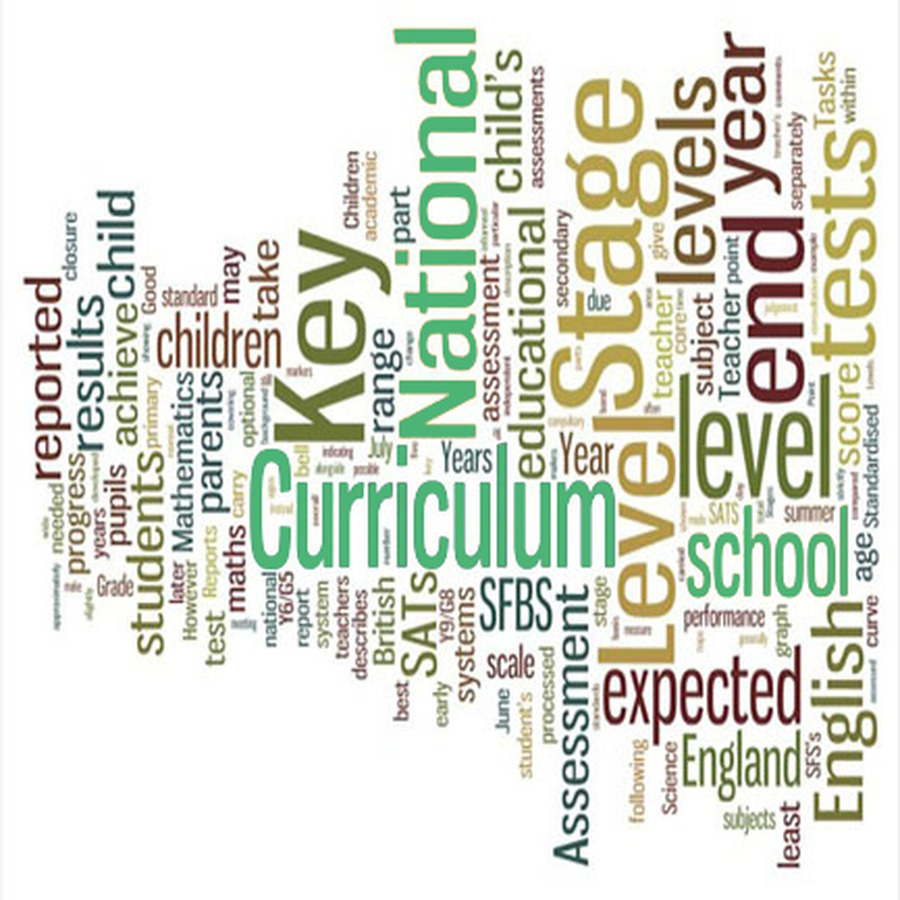 Curriculum
