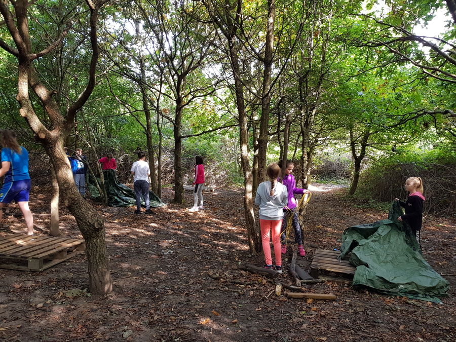 Building a shelter to survive.