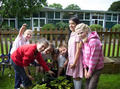concertandgarden004.jpg