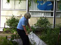 concertandgarden026.jpg