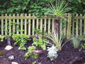 concertandgarden051.jpg
