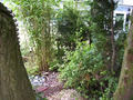 concertandgarden052.jpg