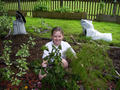 concertandgarden001.jpg