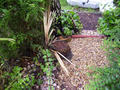 concertandgarden003.jpg