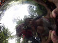concertandgarden034.jpg