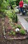 concertandgarden047.jpg