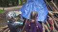 Working as a team to build a den