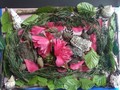 Natural Art