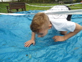 DSC04483.JPG