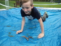 DSC04485.JPG