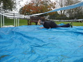 DSC04487.JPG