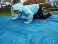DSC04491.JPG