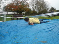 DSC04506.JPG