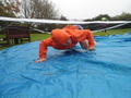 DSC04509.JPG