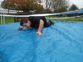DSC04512.JPG