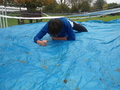 DSC04513.JPG