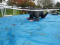DSC04515.JPG