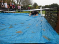 DSC04549.JPG