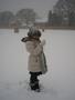temp_pics_006.jpg