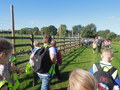 DSCN4354.JPG