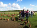 DSCN4366.JPG