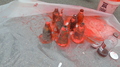 DSC05564.JPG