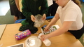 DSC05681.JPG
