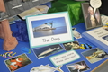 _DSC0071 - Copy.JPG