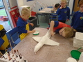 DSC04887.JPG